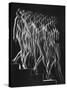 Stroboscopic Study of a Nude Descending Staircase-Gjon Mili-Stretched Canvas