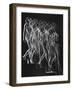 Stroboscopic Study of a Nude Descending Staircase-Gjon Mili-Framed Photographic Print