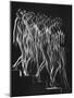 Stroboscopic Study of a Nude Descending Staircase-Gjon Mili-Mounted Photographic Print