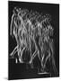 Stroboscopic Study of a Nude Descending Staircase-Gjon Mili-Mounted Photographic Print