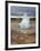 Strokkur Geyser, Iceland-Lisa S^ Engelbrecht-Framed Photographic Print