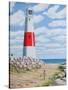 Stroll by Portland Bill-Liz Wright-Stretched Canvas