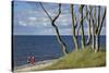 Stroller and Beech Trunks on the Western Beach of Darss Peninsula-Uwe Steffens-Stretched Canvas