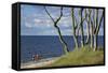 Stroller and Beech Trunks on the Western Beach of Darss Peninsula-Uwe Steffens-Framed Stretched Canvas