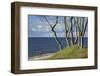 Stroller and Beech Trunks on the Western Beach of Darss Peninsula-Uwe Steffens-Framed Photographic Print