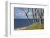 Stroller and Beech Trunks on the Western Beach of Darss Peninsula-Uwe Steffens-Framed Photographic Print