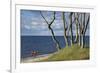 Stroller and Beech Trunks on the Western Beach of Darss Peninsula-Uwe Steffens-Framed Photographic Print