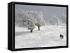 Strollers Passing Snow Covered Trees on the Mountain Schauinsland in the Black Forest , Germany-null-Framed Stretched Canvas