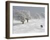 Strollers Passing Snow Covered Trees on the Mountain Schauinsland in the Black Forest , Germany-null-Framed Photographic Print