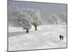 Strollers Passing Snow Covered Trees on the Mountain Schauinsland in the Black Forest , Germany-null-Mounted Photographic Print