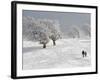 Strollers Passing Snow Covered Trees on the Mountain Schauinsland in the Black Forest , Germany-null-Framed Photographic Print