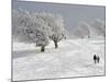 Strollers Passing Snow Covered Trees on the Mountain Schauinsland in the Black Forest , Germany-null-Mounted Photographic Print