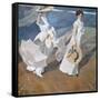 Strolling Along the Seashore-Joaquín Sorolla y Bastida-Framed Stretched Canvas