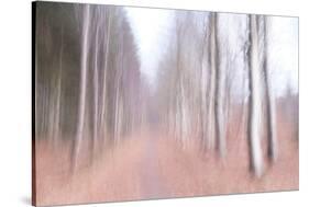 Strolling Down the Beech Lane-Jacob Berghoef-Stretched Canvas