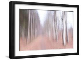 Strolling Down the Beech Lane-Jacob Berghoef-Framed Photographic Print