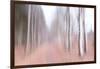 Strolling Down the Beech Lane-Jacob Berghoef-Framed Photographic Print