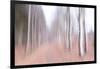 Strolling Down the Beech Lane-Jacob Berghoef-Framed Photographic Print