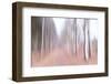 Strolling Down the Beech Lane-Jacob Berghoef-Framed Photographic Print