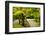 Strolling Garden, Portland Japanese Garden, Portland, Oregon, Usa-Michel Hersen-Framed Photographic Print