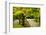 Strolling Garden, Portland Japanese Garden, Portland, Oregon, Usa-Michel Hersen-Framed Photographic Print