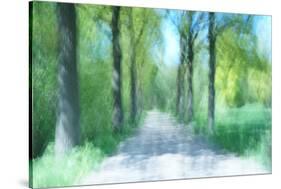 Strolling on a Leafy Lane-Jacob Berghoef-Stretched Canvas