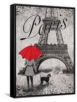 Strolling Paris II-Todd Williams-Framed Stretched Canvas