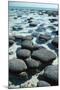 Stromatolites-Georgette Douwma-Mounted Premium Photographic Print