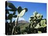 Stromboli, Aeolian Islands (Liparia Islands), Unesco World Heritage Site, Italy-Oliviero Olivieri-Stretched Canvas