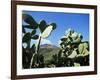 Stromboli, Aeolian Islands (Liparia Islands), Unesco World Heritage Site, Italy-Oliviero Olivieri-Framed Photographic Print
