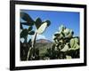 Stromboli, Aeolian Islands (Liparia Islands), Unesco World Heritage Site, Italy-Oliviero Olivieri-Framed Photographic Print