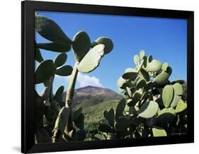 Stromboli, Aeolian Islands (Liparia Islands), Unesco World Heritage Site, Italy-Oliviero Olivieri-Framed Photographic Print