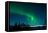 Strong Curled Green Aurora-Latitude 59 LLP-Framed Stretched Canvas