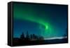 Strong Curled Green Aurora-Latitude 59 LLP-Framed Stretched Canvas