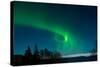 Strong Curled Green Aurora-Latitude 59 LLP-Stretched Canvas