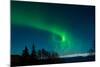 Strong Curled Green Aurora-Latitude 59 LLP-Mounted Photographic Print
