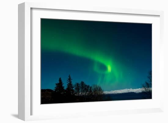 Strong Curled Green Aurora-Latitude 59 LLP-Framed Photographic Print