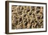 Structural Forms in the Sand of a Dry Riverbed-null-Framed Photographic Print