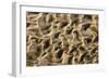 Structural Forms in the Sand of a Dry Riverbed-null-Framed Photographic Print