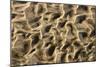 Structural Forms in the Sand of a Dry Riverbed-null-Mounted Photographic Print