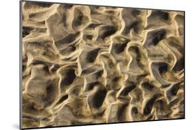 Structural Forms in the Sand of a Dry Riverbed-null-Mounted Photographic Print