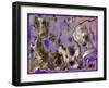 Structure 21-RUNA-Framed Giclee Print