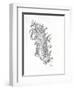 Structured Feather-Pam Varacek-Framed Art Print