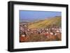 Struempfelbach, Vineyards in Autumn, Rems Murr District, Baden-Wurttemberg, Germany, Europe-Markus Lange-Framed Photographic Print