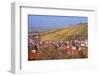 Struempfelbach, Vineyards in Autumn, Rems Murr District, Baden-Wurttemberg, Germany, Europe-Markus Lange-Framed Photographic Print