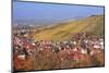 Struempfelbach, Vineyards in Autumn, Rems Murr District, Baden-Wurttemberg, Germany, Europe-Markus Lange-Mounted Photographic Print