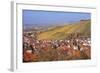 Struempfelbach, Vineyards in Autumn, Rems Murr District, Baden-Wurttemberg, Germany, Europe-Markus Lange-Framed Photographic Print