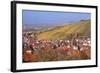 Struempfelbach, Vineyards in Autumn, Rems Murr District, Baden-Wurttemberg, Germany, Europe-Markus Lange-Framed Photographic Print