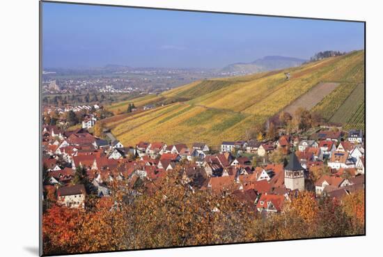 Struempfelbach, Vineyards in Autumn, Rems Murr District, Baden-Wurttemberg, Germany, Europe-Markus Lange-Mounted Photographic Print