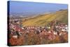 Struempfelbach, Vineyards in Autumn, Rems Murr District, Baden-Wurttemberg, Germany, Europe-Markus Lange-Stretched Canvas