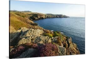 Strumble Head, Pembrokeshire Coast National Park, Wales, United Kingdom, Europe-Ben Pipe-Stretched Canvas
